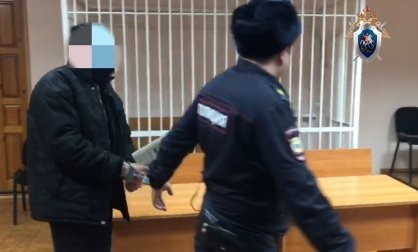 Житель Козловского муниципального округа признан виновным в убийстве с особой жестокостью